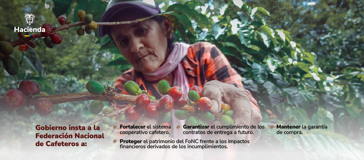 Banner de noticia de MinHacienda con una mujer campesina de fondo cosechando frutas